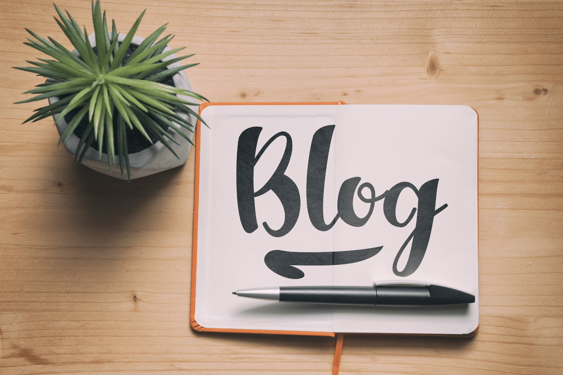 Start Blogging